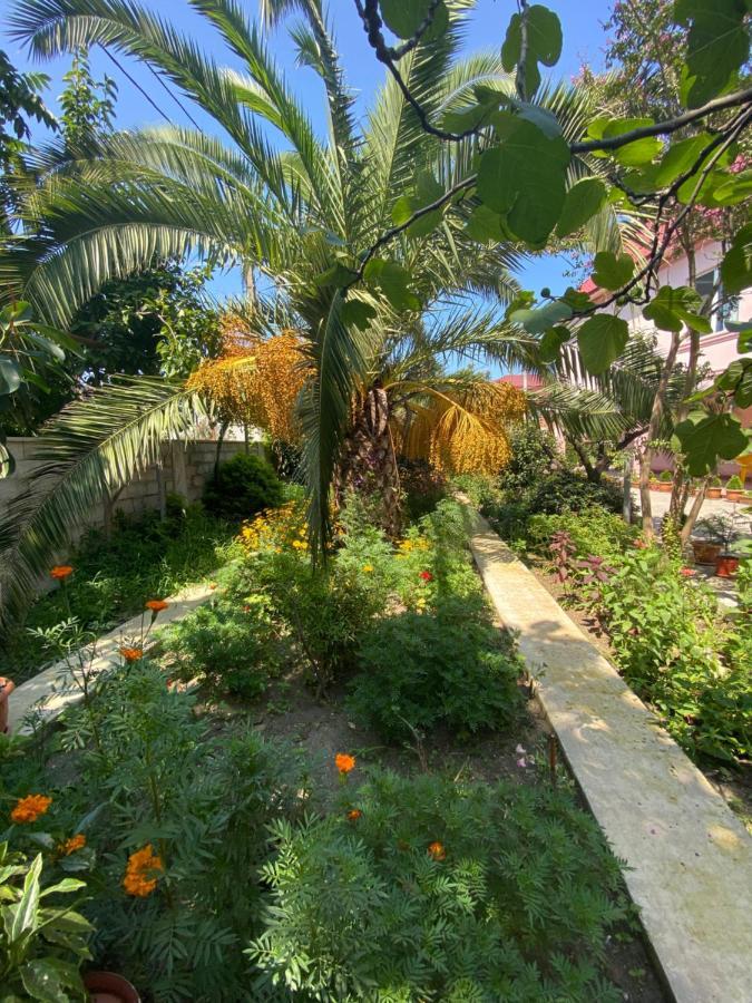 Villa Jakos Paradise 巴统 外观 照片