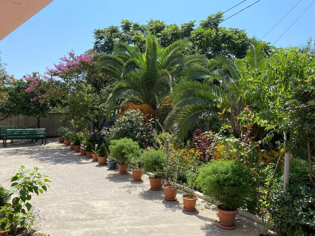 Villa Jakos Paradise 巴统 外观 照片